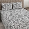 Xylo Multicolor Abstract 400 TC Cotton Flat Super King Size Bedsheet with 2 Pillow Covers – Threads