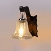 Devansh Solid Wood Electric Wall Light in Brown Colour with Transparent Shade Count of 1 Light