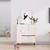Hexa Red Engineered Wood Shoe Rack in Frosty White Colour