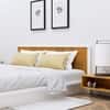 Hexa Engineered Wood Modern King Bed With Headboard Without Storage In Frosty White And Giant Wood