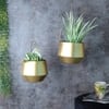 Hanging Wine Planter Set Of 2 In Gold Colour