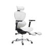Megatron Premium Gaming Chair in Grey Colour