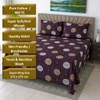 Pia Chocolate Floral 400 TC Cotton Flat Super King Size Bedsheet with 2 Pillow Covers – Threads