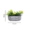 Verdant Bliss Planter