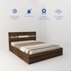 Salmacis Engineered Wood Queen  Size Bed Without Storage (Walnut Finish)