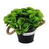 Artificial Green Eucalyptus Plant With A Rope Tied To Pot For Interior Decor