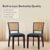 Argiro Solid Wood Dining Chair Set Of 2 In Mahogany Finish With Night Blue Velvet Fabric Colour