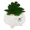 Cozy Bear Ceramic Planter