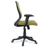 Ebeaony Mid Back Ergonomic Chair in Pearl Green Colour