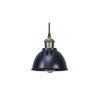 Darnar Black Metal Hanging Light