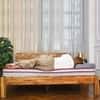 Coirfit Luxurino Pillow Top Mattress (75 x 48 in, 6 Inches)