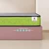 Sleepwell Ortho Nirvana Mattress Medium Firm Perfect Spine Alignment Double 84x47x4 Inch