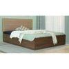Bakhti Bed With Premium Leatherette Fabric And Box Storage Queen Bed
