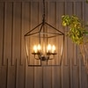 Velsa 6Lt Chandelier By Shoppeefry