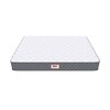 tru Spring with NPSS Tech Single Size Mattress (72 x 36 in, 10 Inches)