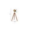 Mirabelle Floor Lamp