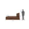 Taro Engineered Wood King Size Box Storage Bed In Walnut Finish