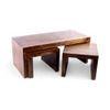 Kassel Sheesham Wood 2 Seater Coffee Table Set In Teak Finish