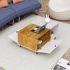 Hexa Engineered Wood Center Table With Storage And Open Rack In Frosty White And Giant Wood