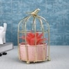 Succulent Plant In Ceramic Pot With Attractive Bird Cage