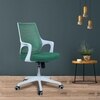 Xeanea Mid Back Ergonomic Chair in Dark Green Colour
