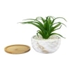 Artificial Fern Plant In A Patterned Ceramic Pot With A Wooden Plate
