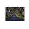 Truss Green Blue Pieces Dark Hedges Canvas Wall Prints Canvas Wall Prints Set of 3 Multicolor Matte