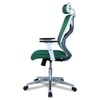 Wiweangs High Back Ergonomic Chair in Dark Green Colour