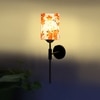 Devansh Metal Electric Wall Light in Black Colour with Multi Shade Count of 1 Light