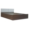Citta Engineered Wood Queen Size Bed In Walnut Finish