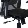Reaii Mid Back Ergonomic Chair in Black Colour