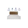 Chestnut Engineered Wood Queen Size Bed In White Finish