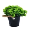 Artificial Green Eucalyptus Plant With A Rope Tied To Pot For Interior Decor