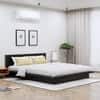 Hexa Engineered Wood Modern King Bed With Headboard Without Storage In Flower Wenge