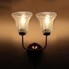 Devansh Metal Electric Wall Light in Gold Colour with Transparent Shade Count of 2 Lights