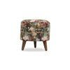 Willow Solid Wood  Ottomon in  Multicolor Colour