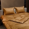Stoa Paris Comforter Set Double Bed, 300TC Satin Double Bed Comforters in Eternal Glow