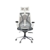 Butterfly High Back Ergonomic Mesh Office Chair in Grey Colour
