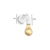 Ostaria Wall Sconce White
