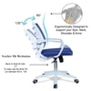 Iinea Mid Back Ergonomic Chair in Blue Colour