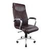 Shark High Back Executive Office In Brown Colour