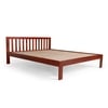 Orian Solid Wood Queen  Size Bed Without Storage (Honey Oak Finish)