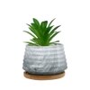 White 1 Pieces Succulent Artificial Plant With Pot