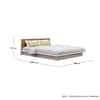 Hexa Engineered Wood Modern King Bed With Headboard Without Storage In Frosty White And Giant Wood