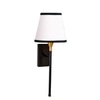 Devansh Metal Electric Wall Light in Black Colour with Multi Shade Count of 1 Light