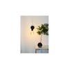 Orren Eilis Aero Wall Sconce