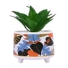 Attractive Aloe Vera Plant With Leafy Print Ceramic Pot