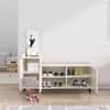 Hexa Red Engineered Wood Shoe Rack in Frosty White Colour