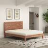 Metric Solid Wood King Non Storage Bed in Brown Colour