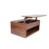 Alita Rectangular Engineered Wood Coffee Table in Walnut Finish